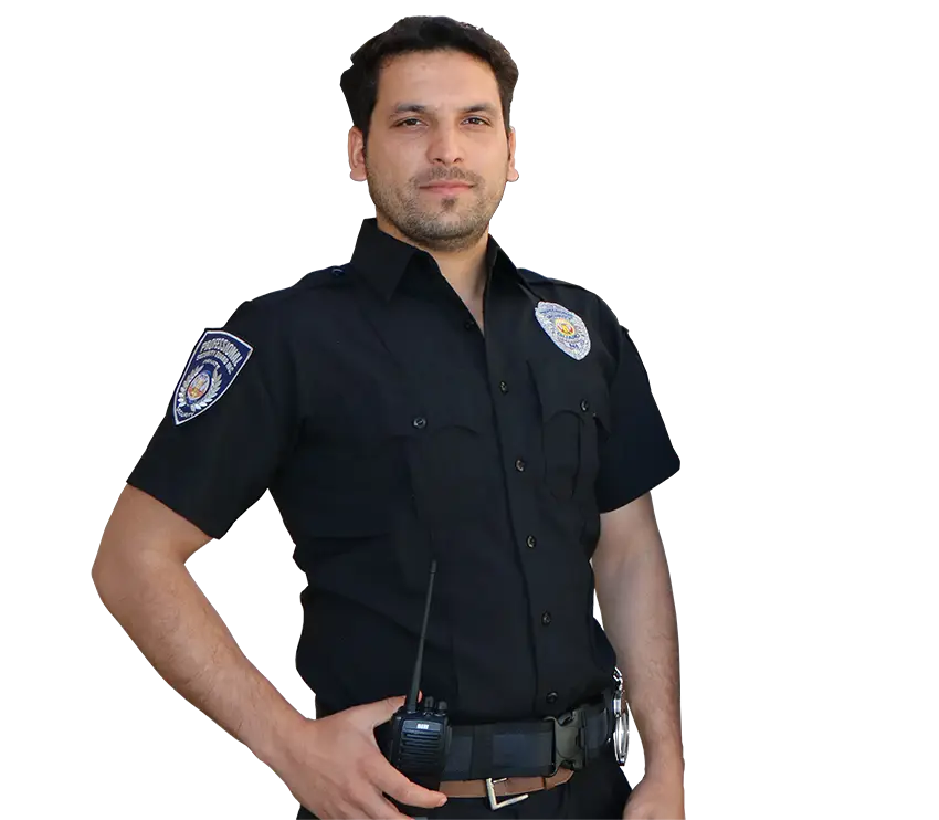 Professional security services in California