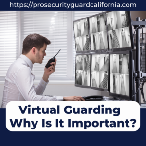 Virtual Guarding Why Is It Important