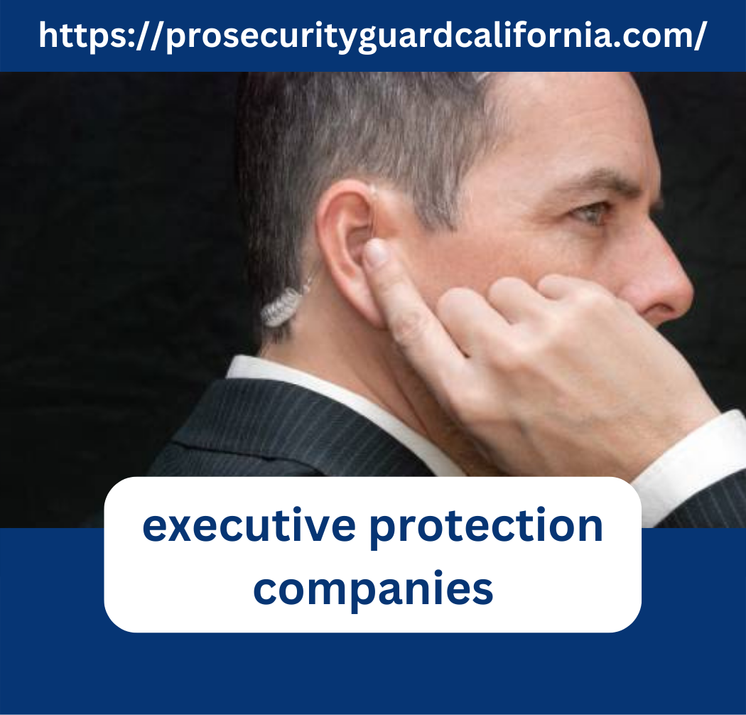 Top Executive protection agencies