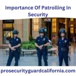 importance of patrolling in security