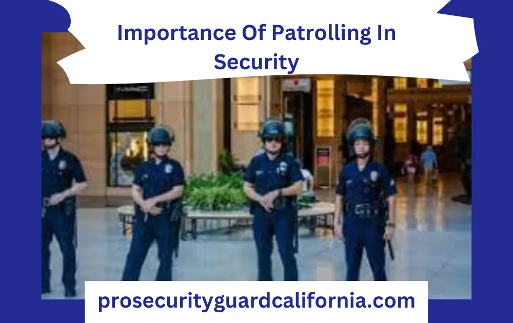 importance of patrolling in security