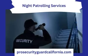 night patrolling services