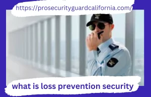 loss prevention security officer