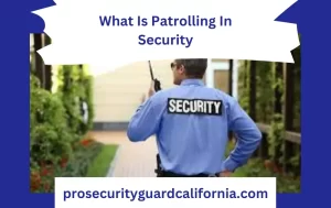what is patrolling in security
