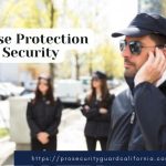 Close Protection VIP Security