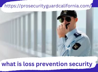 loss prevention security officer